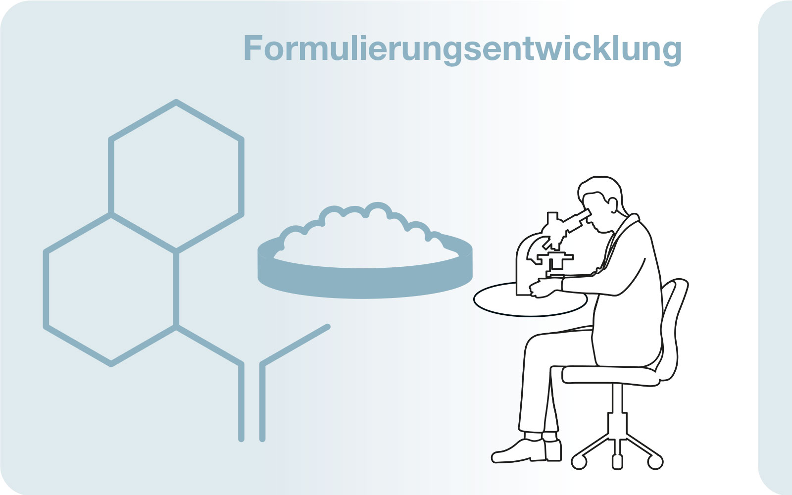 Formulierungsentwicklung