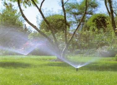 Wassersystem Rasen