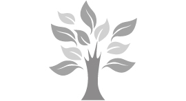 Familienbaum – 75 Jahre Familientradition