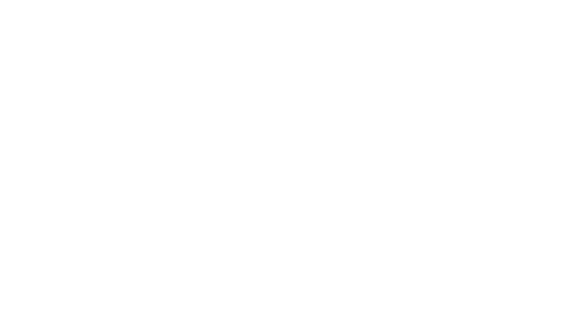 IBK Bullet – Made in Germany