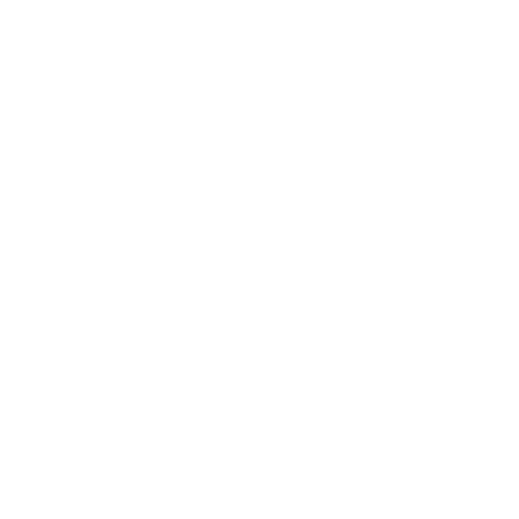 Logo Project Gecko