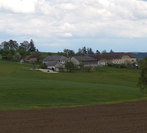 Bauernhof mit Stallgebäuden, Wiese, Feld und Bäumen