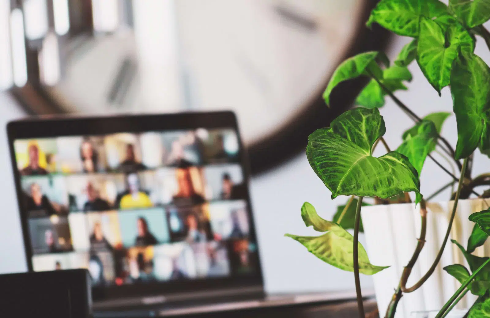 Design und Entwicklung