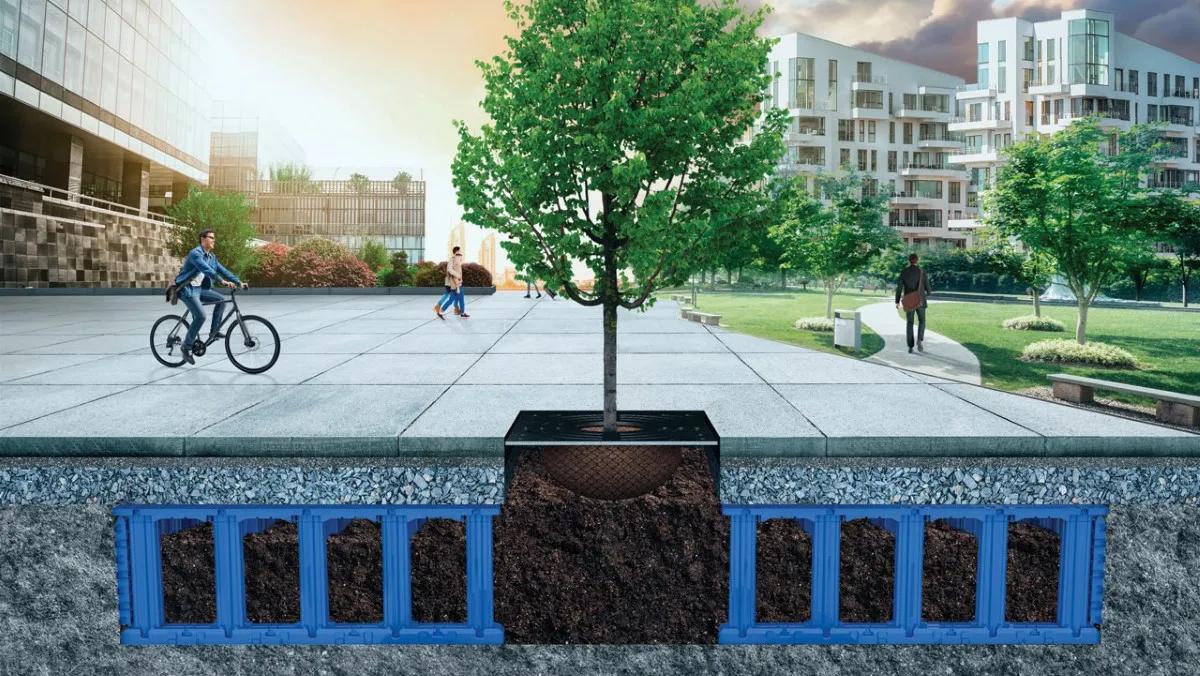 TreeTank Wurzelkammersystem