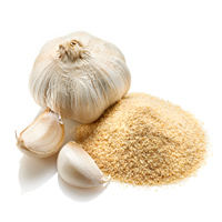Getrocknete Gemüseprodukte – Knoblauchpulver