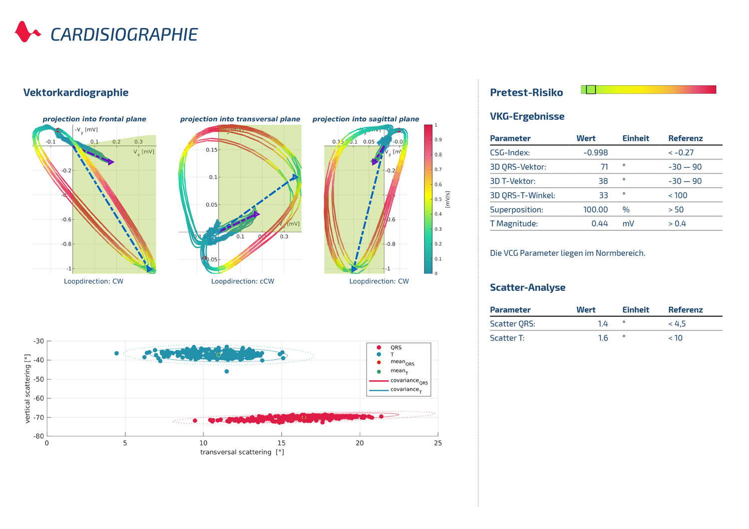 Vektorkardiographische Auswertung (Scatter QRS / Scatter T)