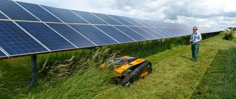 Mäharbeit in einem Solarpark zwischen den Modulen