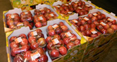 Verpackungsmaschinen (Foodtainer, Dehnfolie, Legestraßen)