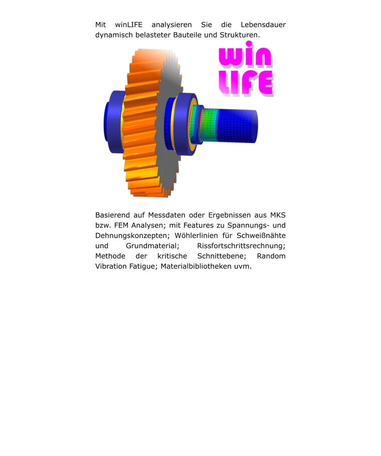 Lebensdauerberechnung mit winLIFE