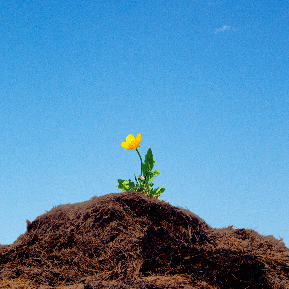 Kampagne 'Fertilise the Future'