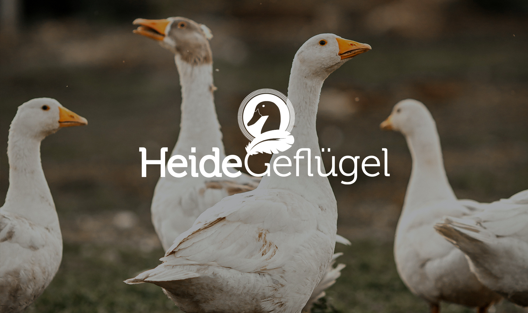 Heide Geflügel