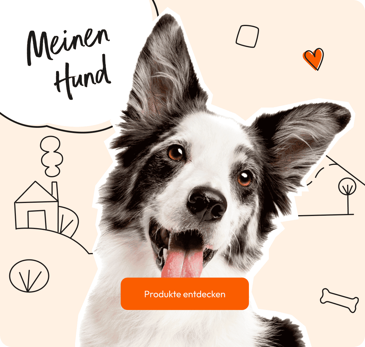 Hundefutter und Ergänzungsfuttermittel