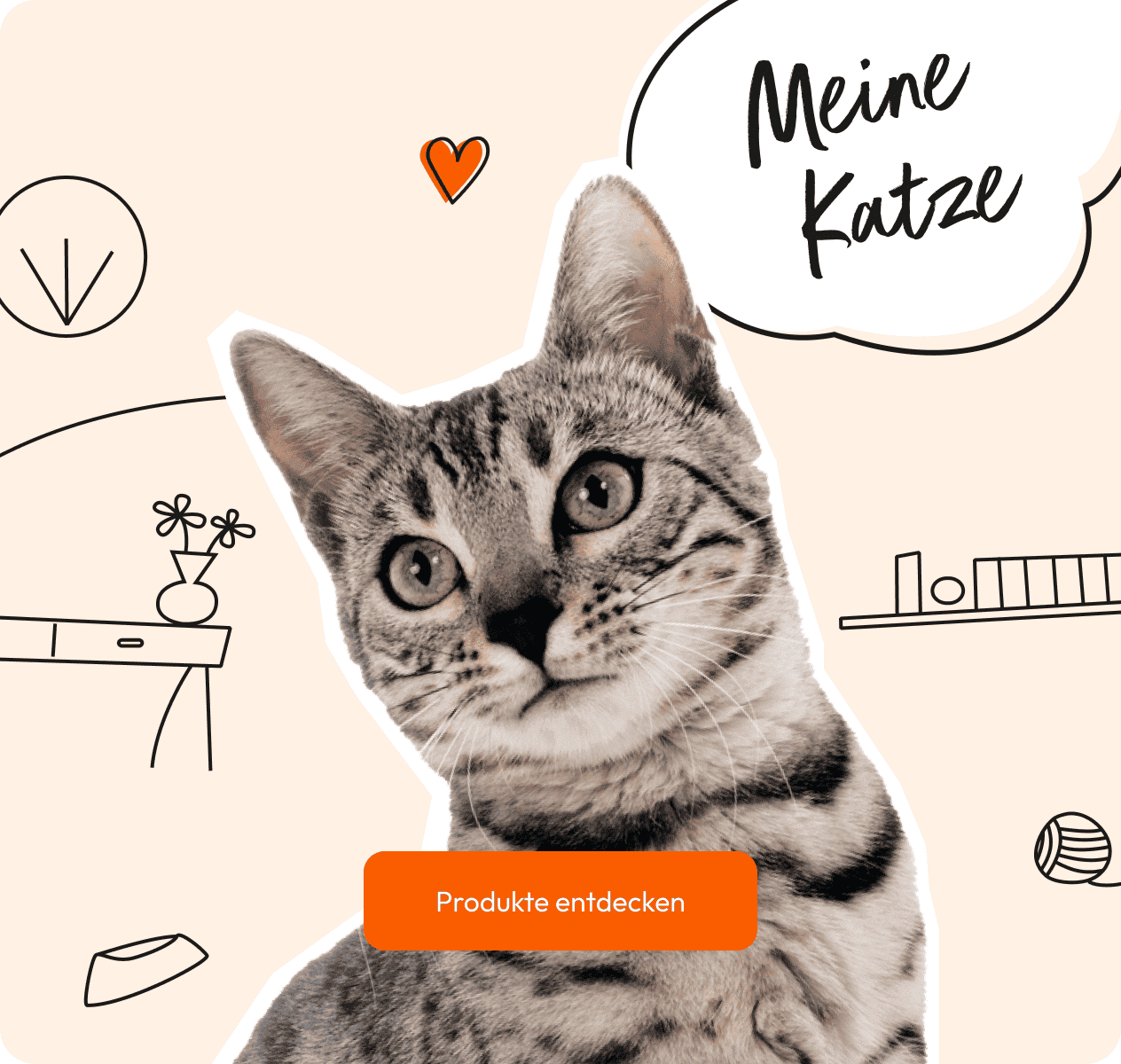 Katzenfutter und Ergänzungsfuttermittel