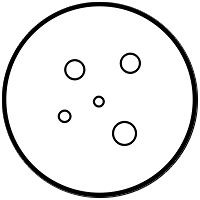 Pulver