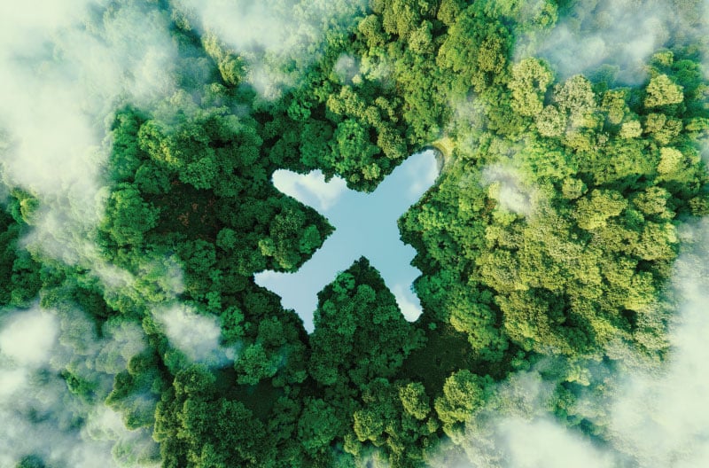 Corporate Sustainability / Carbon Credits