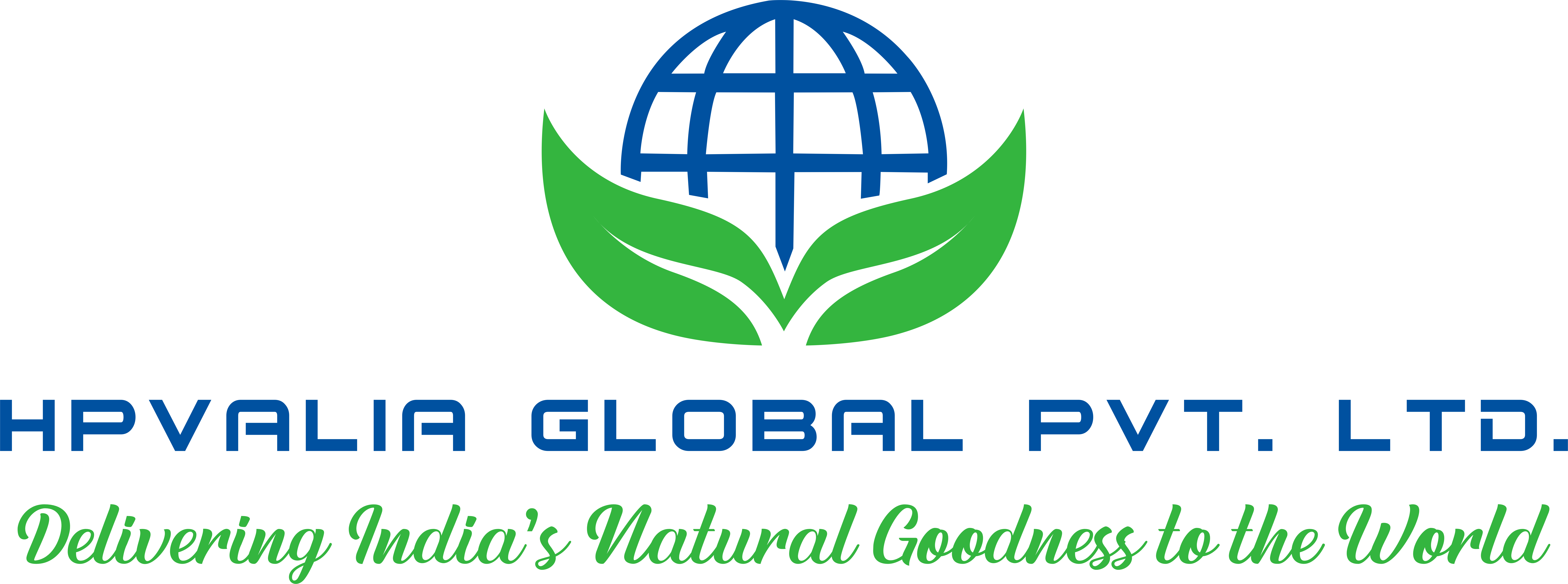 HPVALIA GLOBAL Logo