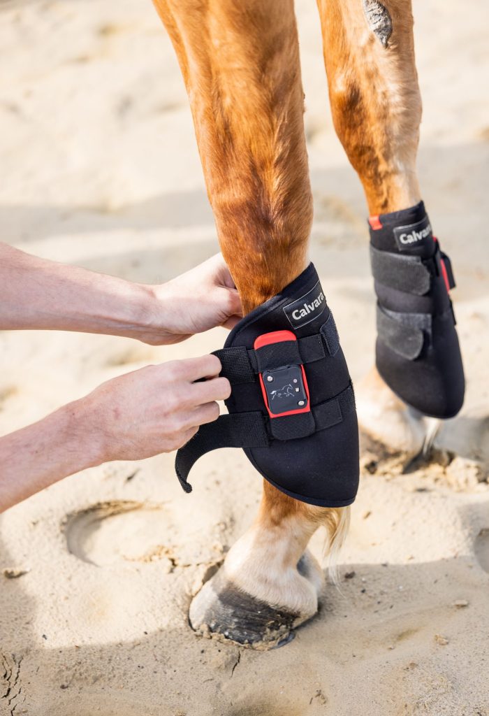 CALVARA-Sensor mit Gamasche