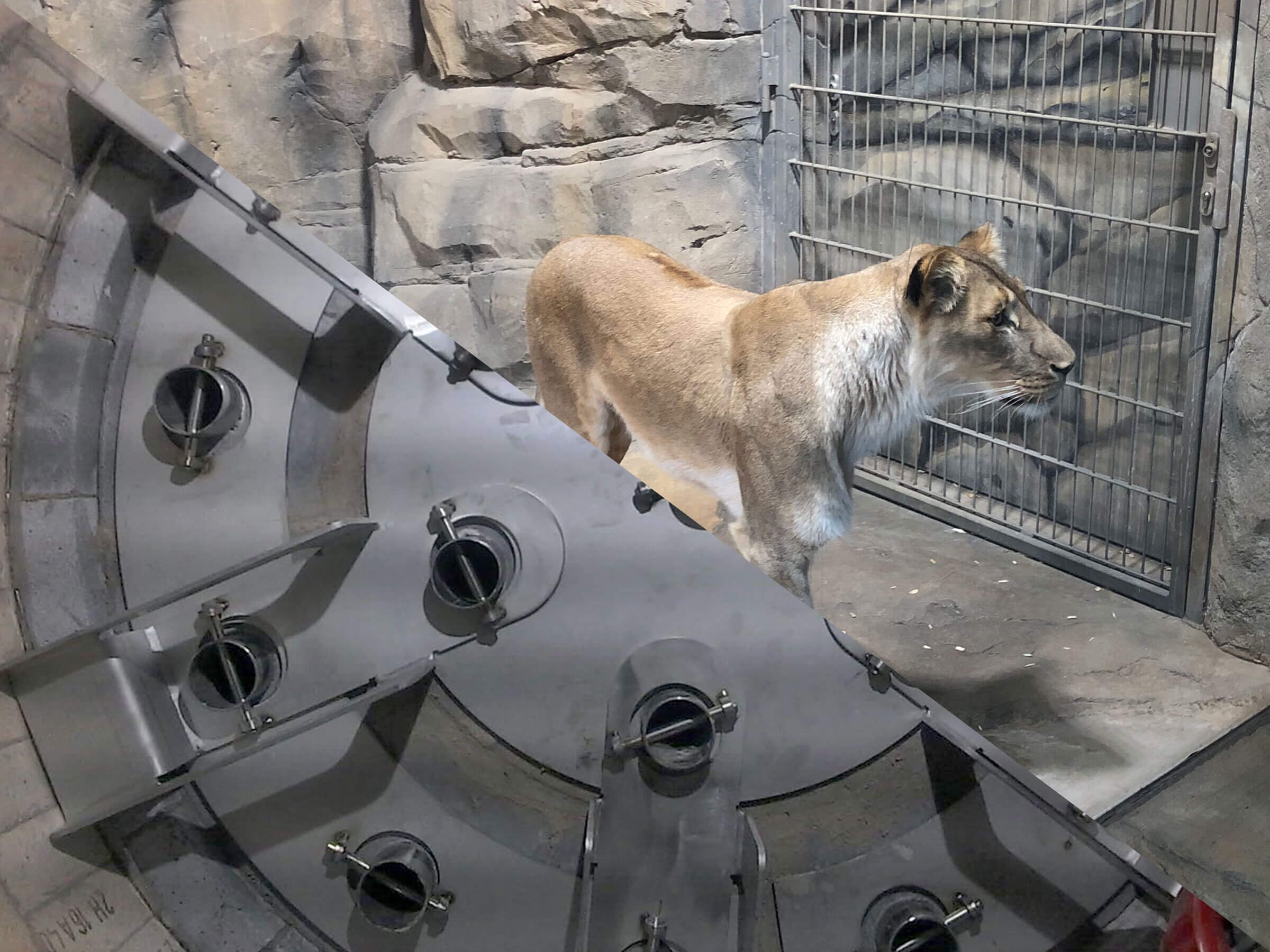 Zooanlagen & technische Speziallösungen