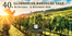 40. Glorreiche Rheingau Tage