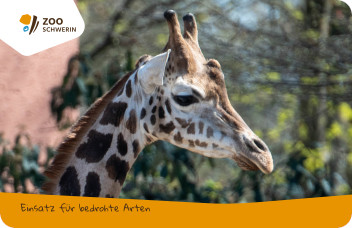 Jahreskarte Zoo Schwerin aus biologisch abbaubarem Material