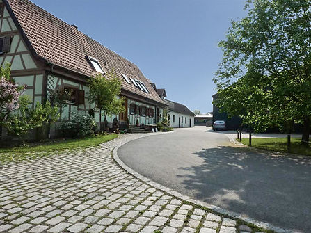 Eichen- und Bucheschnittholz