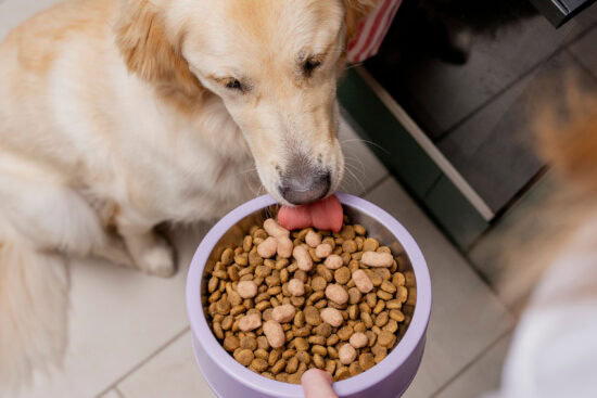 Pooch & Mutt Freeze-Dried
