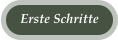 Erste Schritte