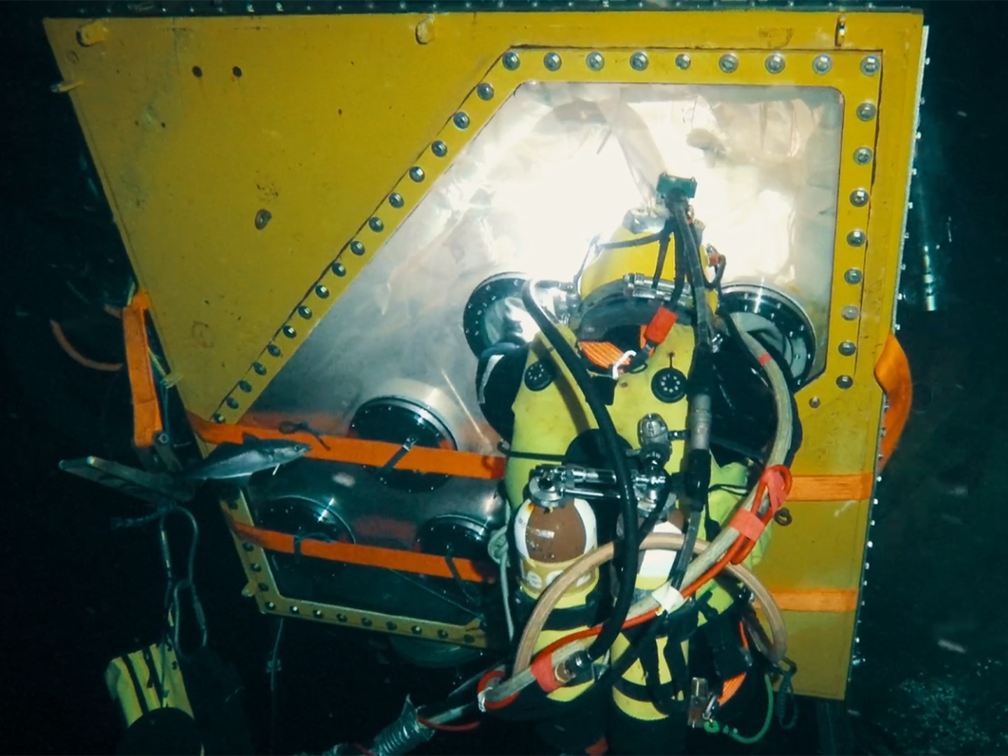 Projekteinsatz der DCN Diving