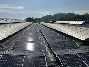 Photovoltaikanlage auf 90 % der Dachfläche