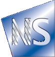 Sapp Steel and Plant Engineering Logo