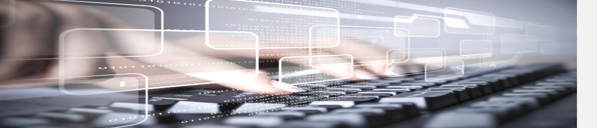 Cebulj Computer – Fertigung