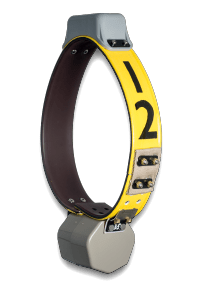 VERTEX Plus GPS-Halsband