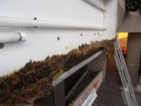 Projektdurchführung