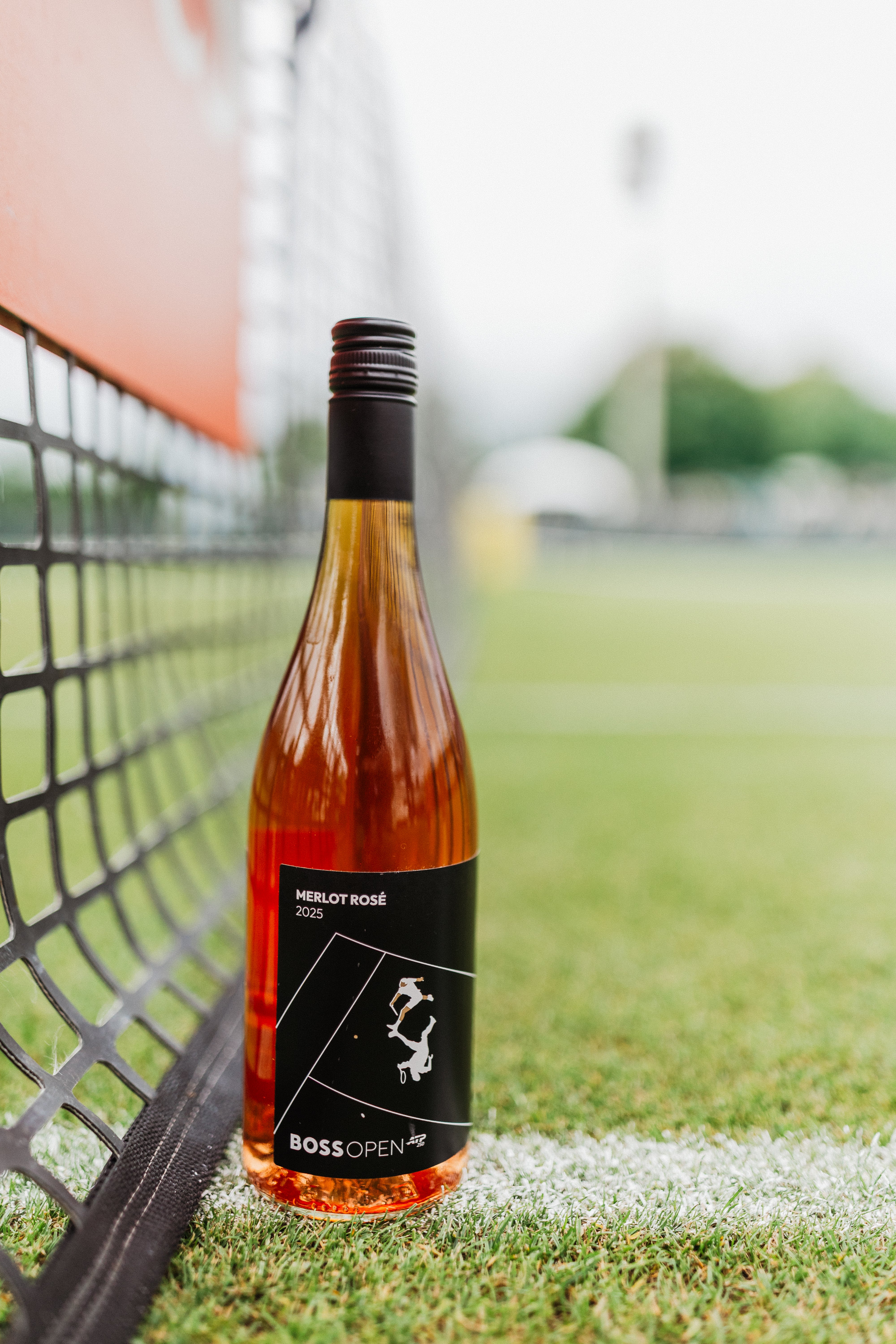Weinansicht