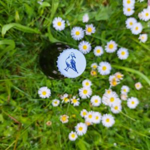 Streuobstwiese in der Haseldorfer Marsch