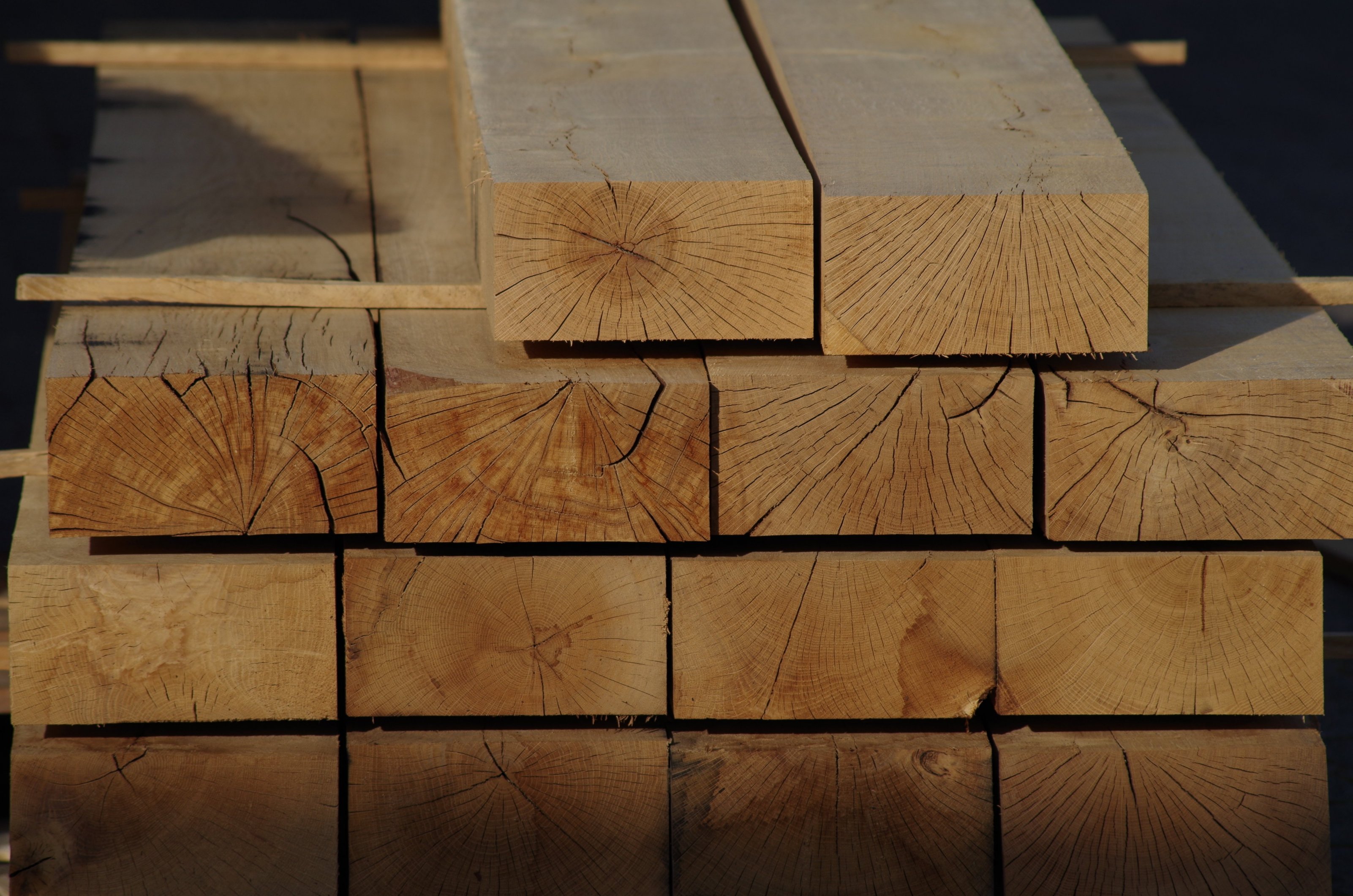 Holz zum Bauen