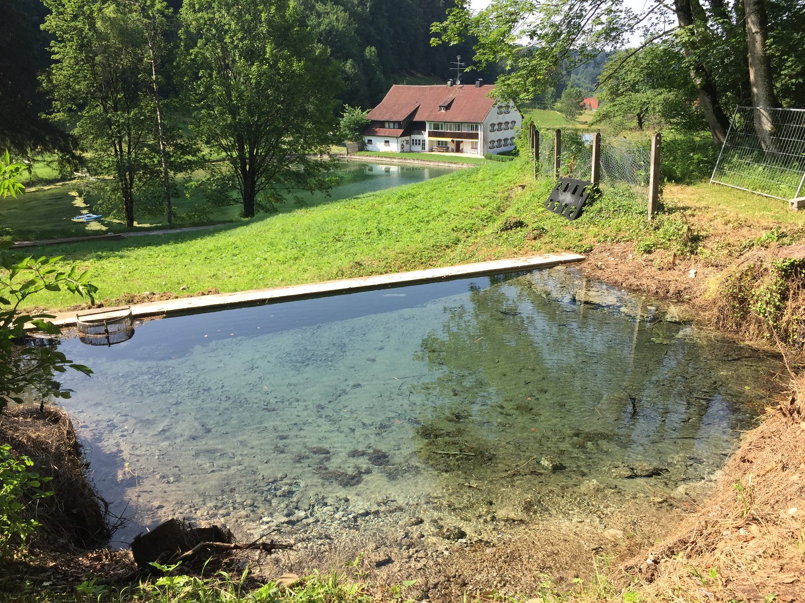Hauptquelle in Griestal, die die Farm mit kühlem Quellwasser versorgt