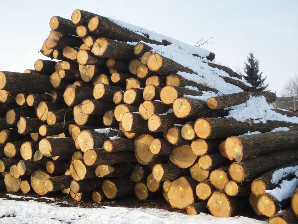 Winterholz – Philosophie nachhaltiger Holznutzung