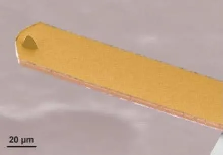 Conductive Trilayer Cantilever