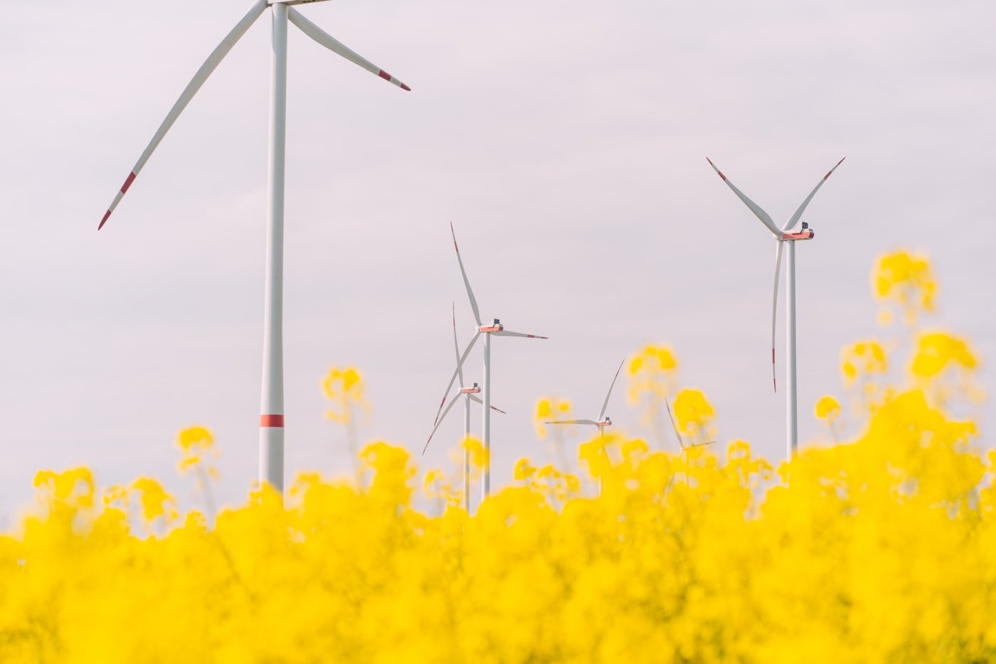 Windkraft in der Uckermark