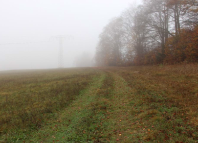 Gutachten Glasfaserausbau Röthengrund