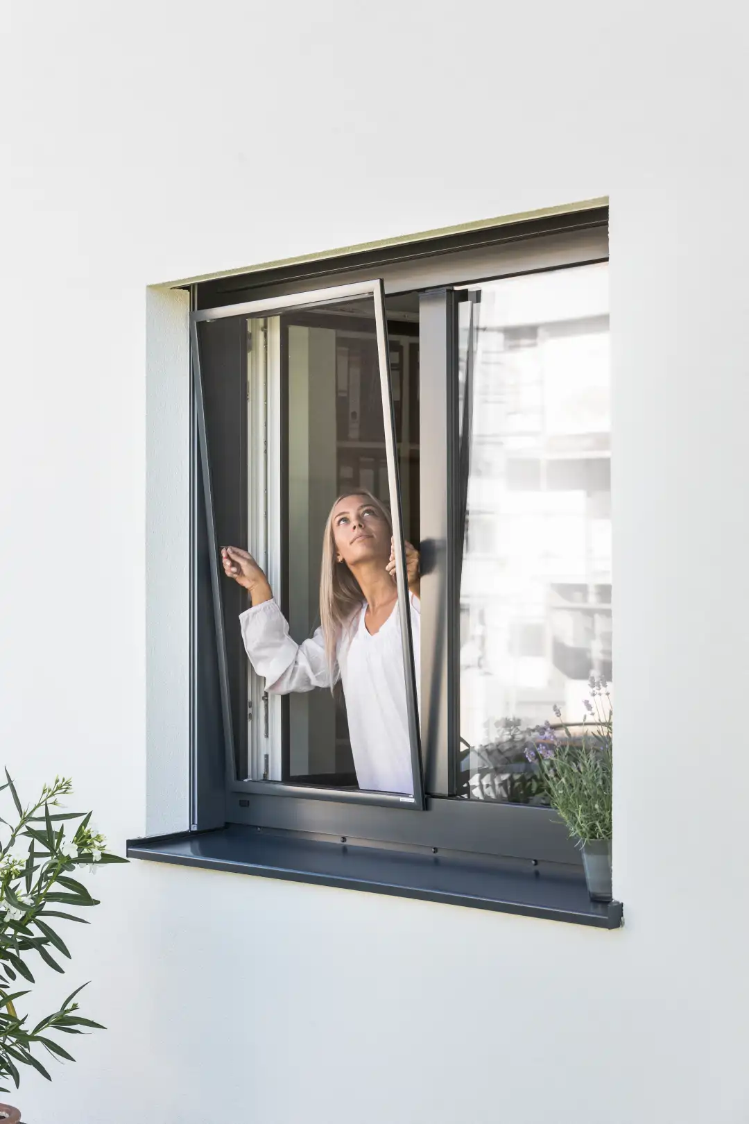 Wohndachfenster