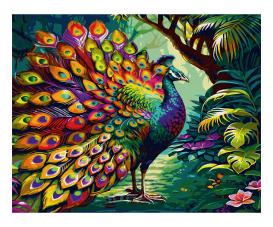 Peacock 40 x 50 cm