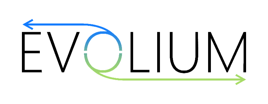 Evolium Logo