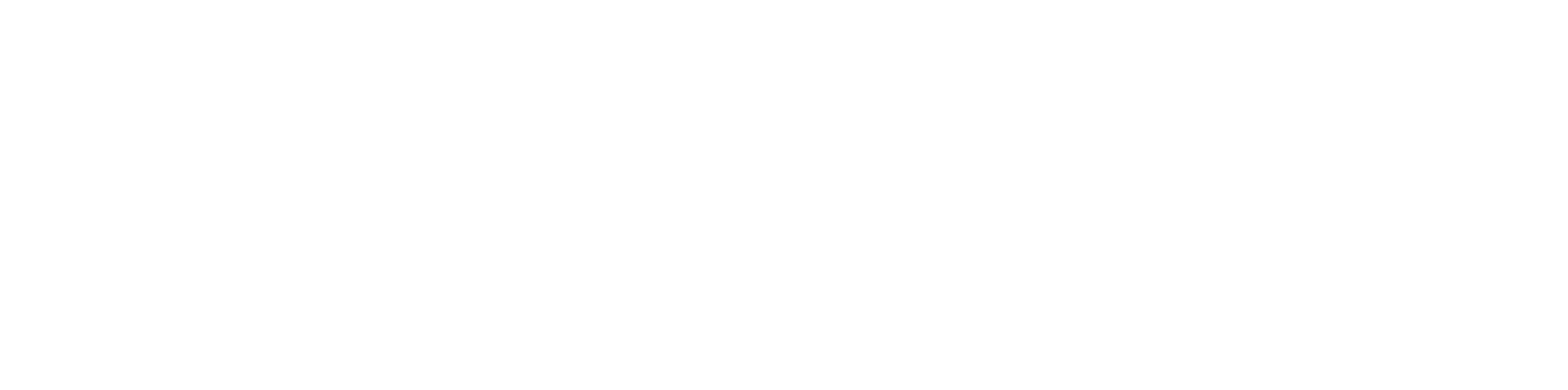 Digitaler Rollmeter RLX