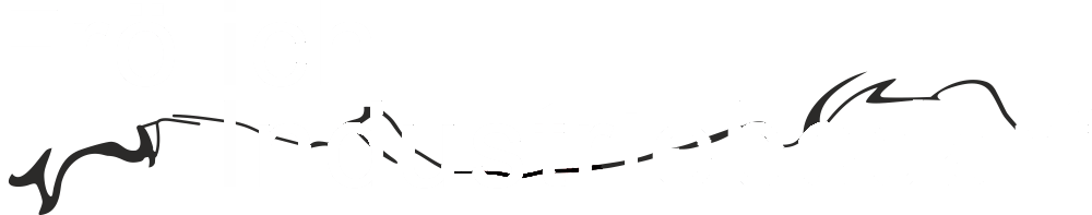 Frölich Industriebedarf Logo