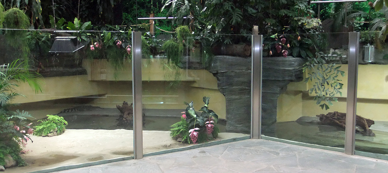 Glaswände im Kölner Zoo
