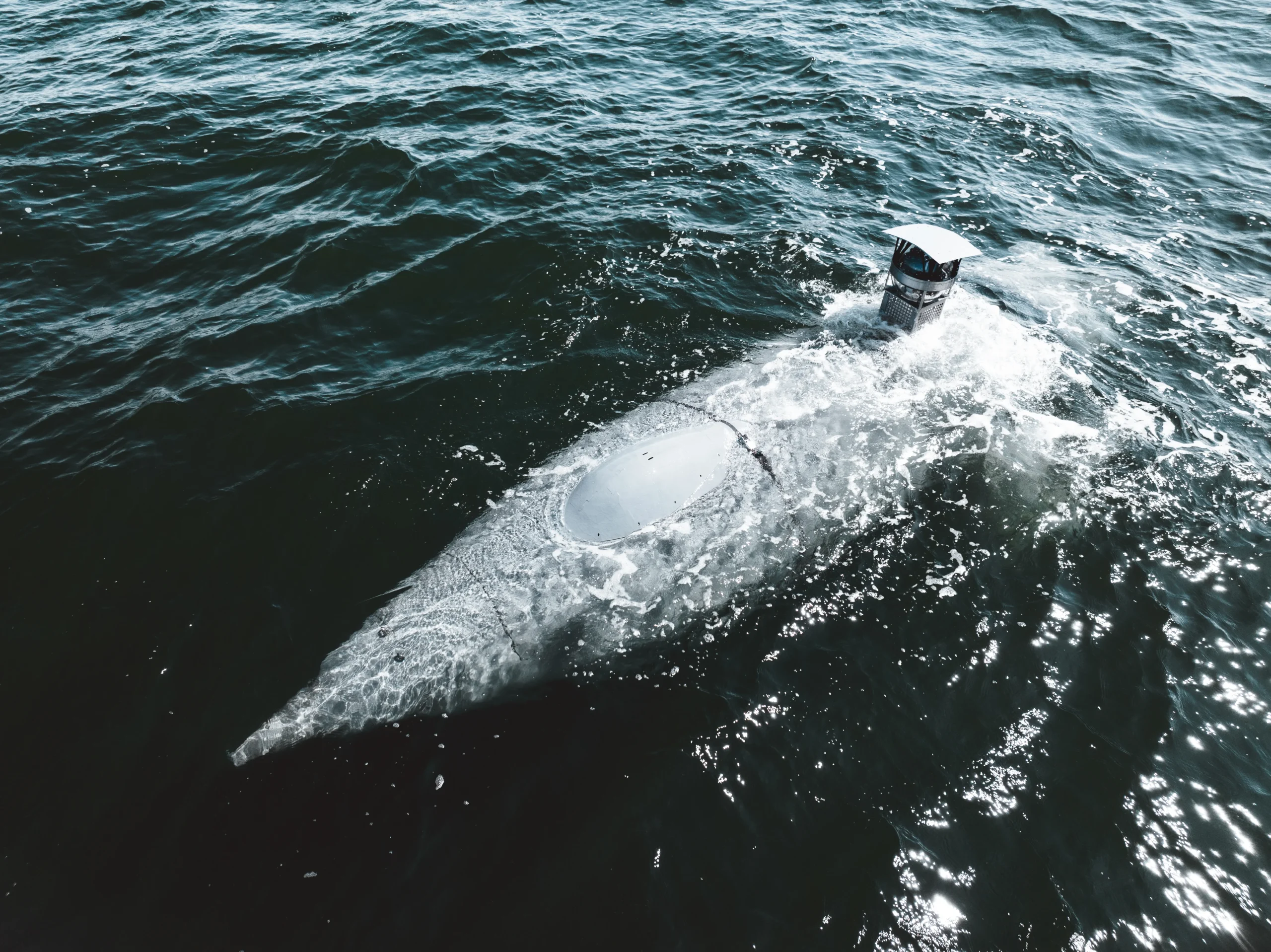 GREYSHARK™ Feldversuch