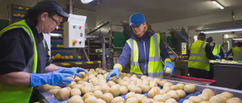 Anlagen für Kartoffeln, Zwiebeln und Karotten