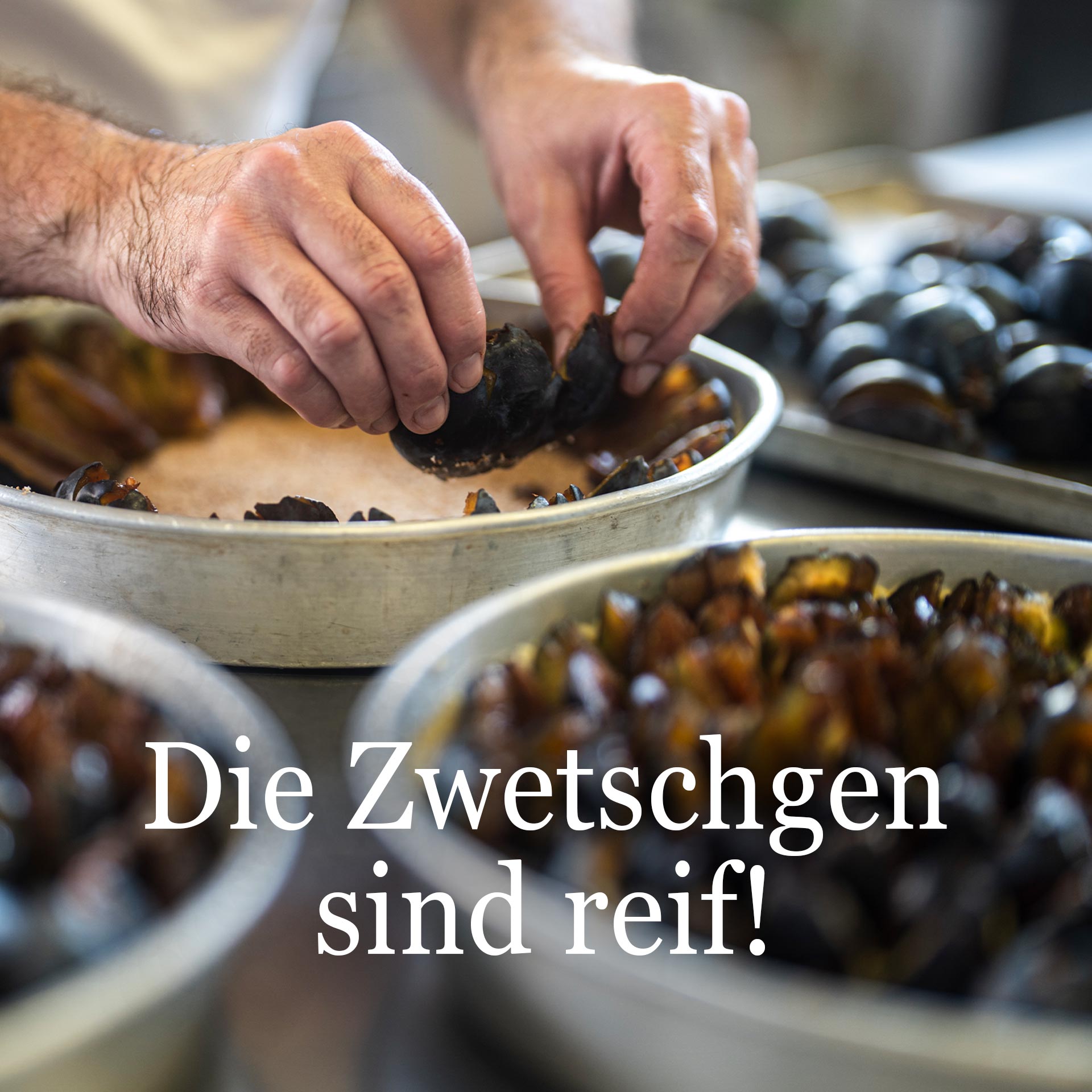 Zwetschgenkuchen